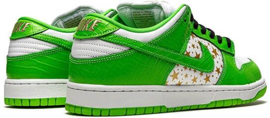 Nike SB Dunk low-top sneakers Groen