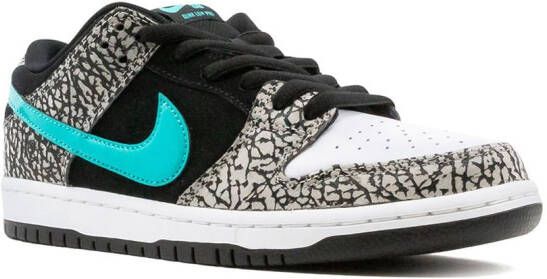 Nike SB Dunk Pro low-top sneakers Grijs