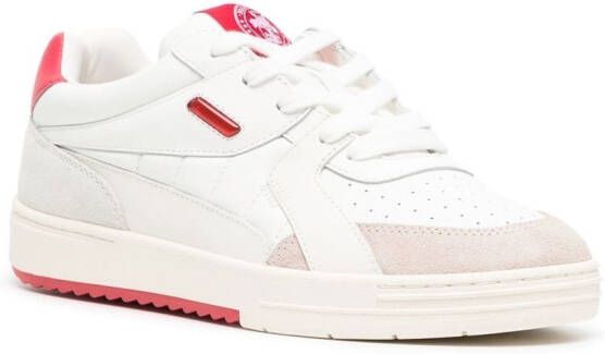 Palm Angels Palm University low-top sneakers Wit