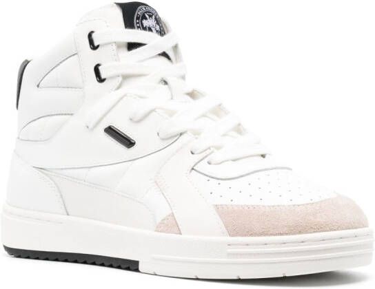 Palm Angels University sneakers Wit