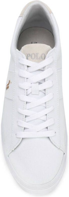 Polo Ralph Lauren sneakers met veters Wit