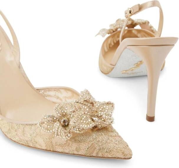 René Caovilla Floriane pumps met kant Beige