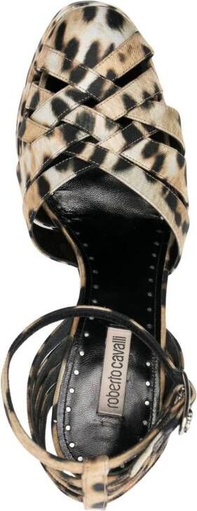 Roberto Cavalli Sandalen met luipaardprint Beige