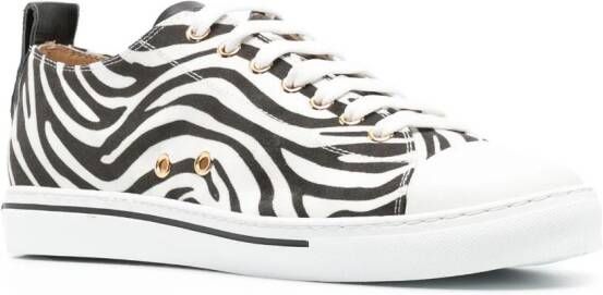 Roberto Cavalli Sneakers met zebraprint Wit