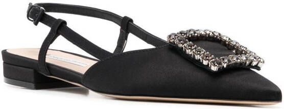 Roberto Festa Lavanda pumps met puntige neus Zwart