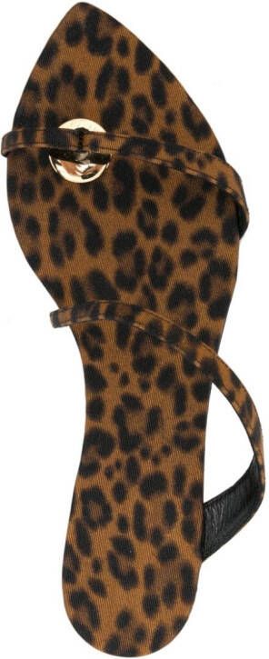 Saint Laurent Tanger slippers met luipaardprint Bruin