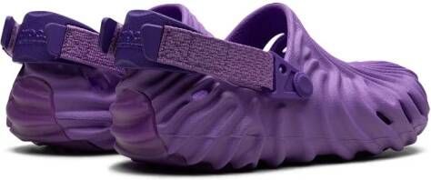 Crocs "Pollex Dewberry klompen" Paars