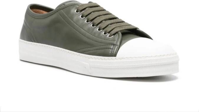 Scarosso Ambrogio leren sneakers Groen