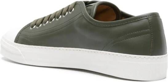 Scarosso Ambrogio leren sneakers Groen