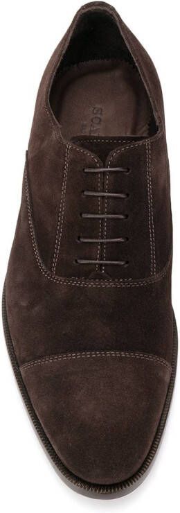 Scarosso Bacco Oxford veterschoenen Bruin