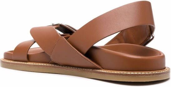 Scarosso Hailey sandalen met gesp Bruin