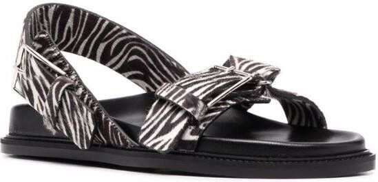 Scarosso Hailey sandalen met zebraprint Zwart