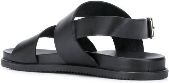 Scarosso Slingback sandalen Zwart