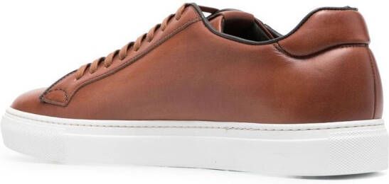 Scarosso Ugo low-top sneakers Bruin