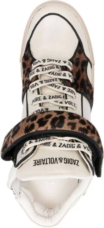 Zadig&Voltaire Flash sneakers met luipaardprint Beige