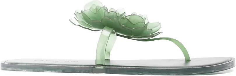 FARM Rio Jelly sandalen met bloem Groen