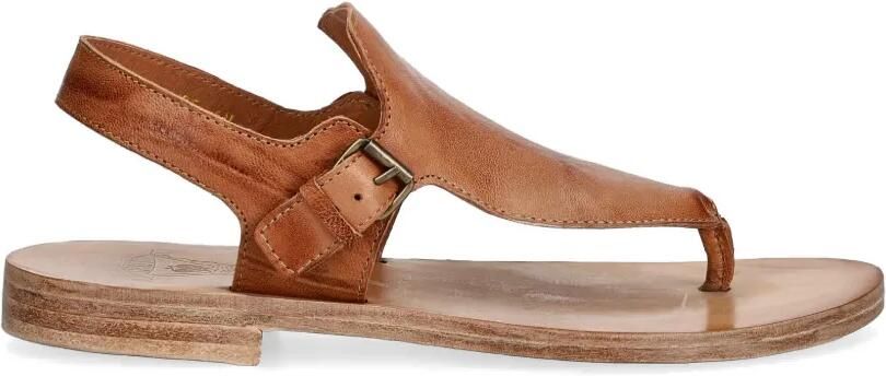 Fly London Sandalen met gespsluiting Bruin