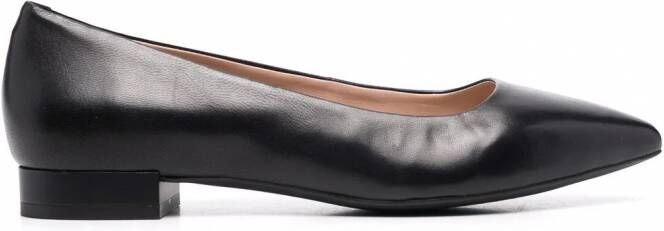 Geox Charyssa ballerina's met puntige neus Zwart