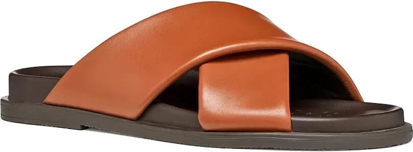 Geox Adelash leren slippers met kruisbandjes Bruin - Foto 5