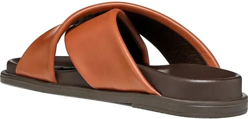 Geox Adelash leren slippers met kruisbandjes Bruin - Foto 4