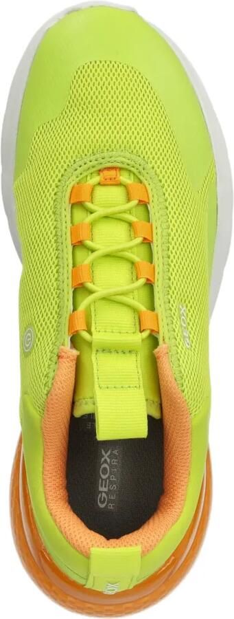 Geox Kids Activart Illuminus sneakers met mesh vlakken Groen - Foto 4