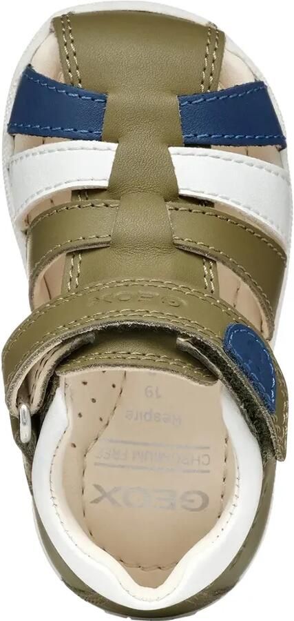 Geox Kids Macchia sandalen met bandje Groen - Foto 5