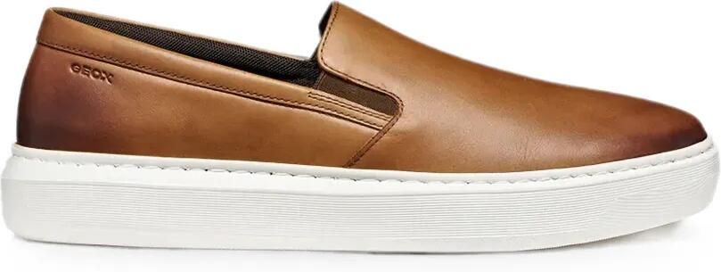 Geox Leren sneakers Bruin