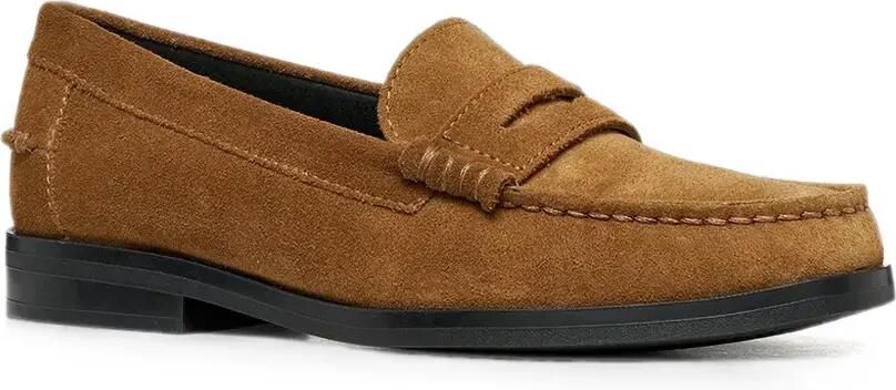 Geox Noemen suède penny loafers Bruin - Foto 4