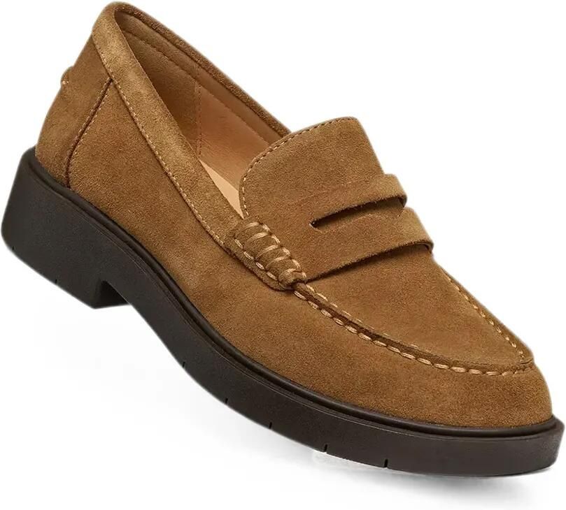 Geox Spherica Ec1 suède loafers Bruin - Foto 2