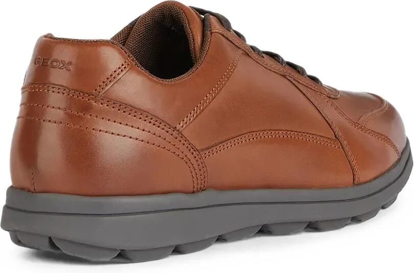 Geox Spherica EC12 kalfsleren sneakers met vlakken Bruin