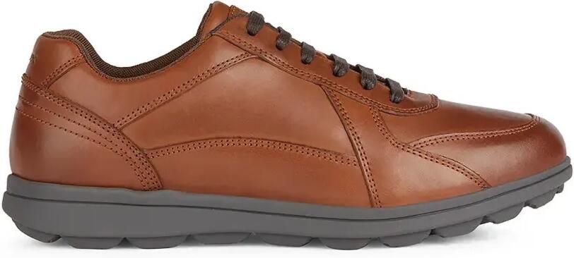 Geox Spherica EC12 kalfsleren sneakers met vlakken Bruin - Foto 5