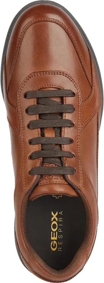Geox Spherica EC12 kalfsleren sneakers met vlakken Bruin - Foto 4