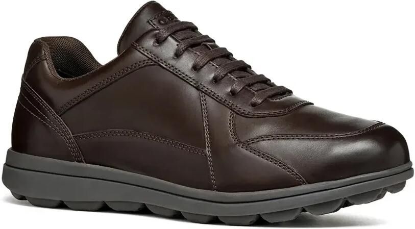Geox Spherica EC12 leren sneakers Bruin