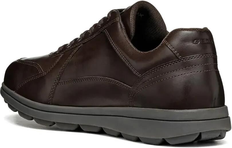 Geox Spherica EC12 leren sneakers Bruin - Foto 2