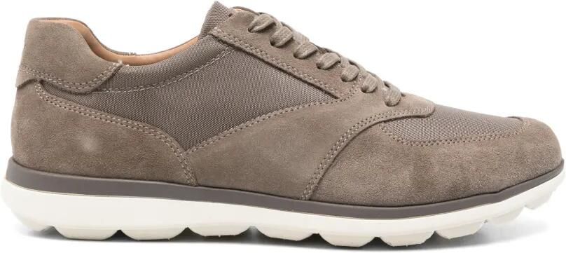 Geox Spherica Ec12 sneakers met vlakken Grijs