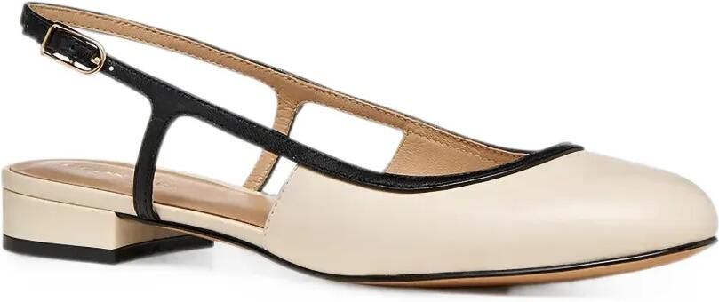 Geox Virnilisa B slingback ballerina's met contrasterende afwerking Beige - Foto 5