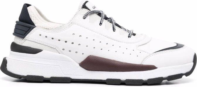 Geox Regale low-top sneakers Wit