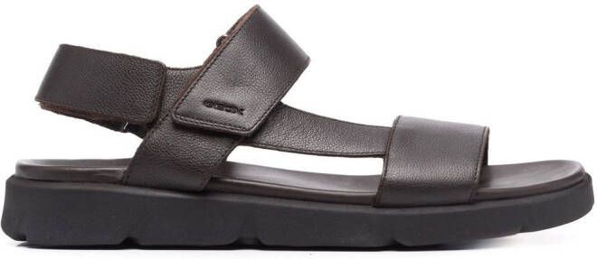 Geox Sandalen met bandjes Zwart