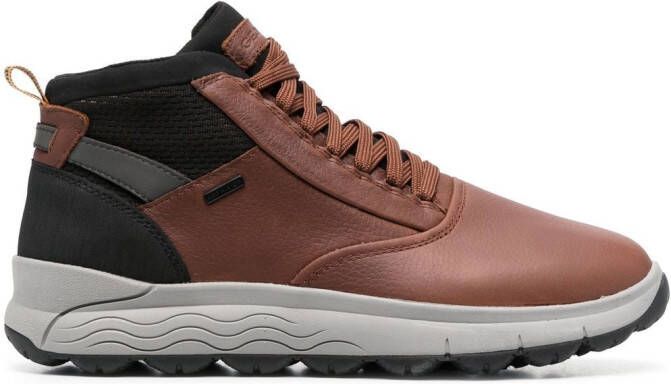 Geox Spherica 4X4 high-top sneakers Bruin