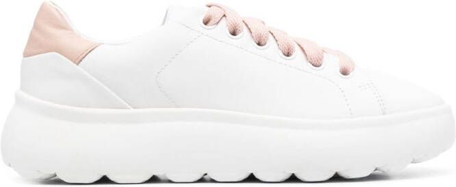 Geox Spherica leren sneakers Wit