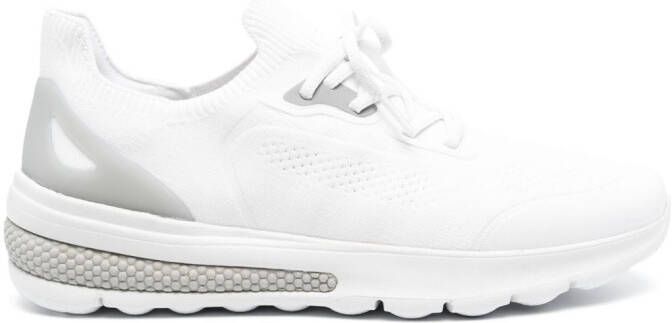 Geox Spherica low-top sneakers Wit