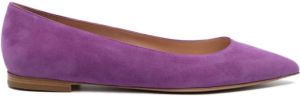 Gianvito Rossi Ballerina's met puntige neus Paars