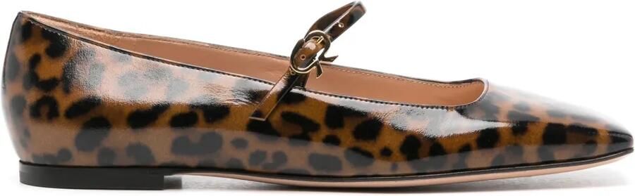 Gianvito Rossi Carla ballerina's met luipaardprint Beige