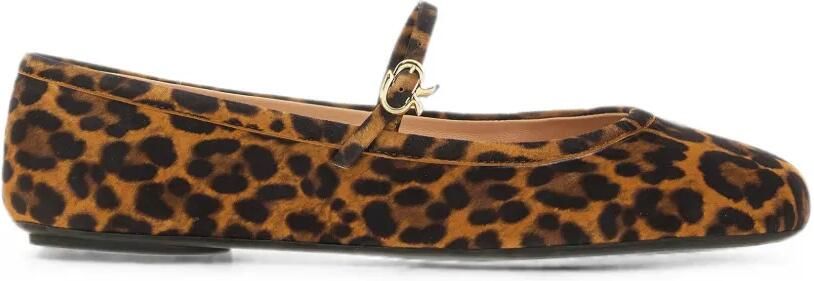 Gianvito Rossi Carla leren ballerina's met luipaard-print Bruin