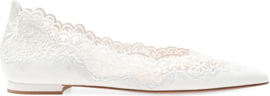 Gianvito Rossi Evie ballerina's Wit
