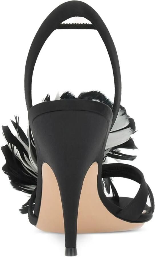 Gianvito Rossi Fenice sandalen verfraaid met veren Zwart - Foto 5