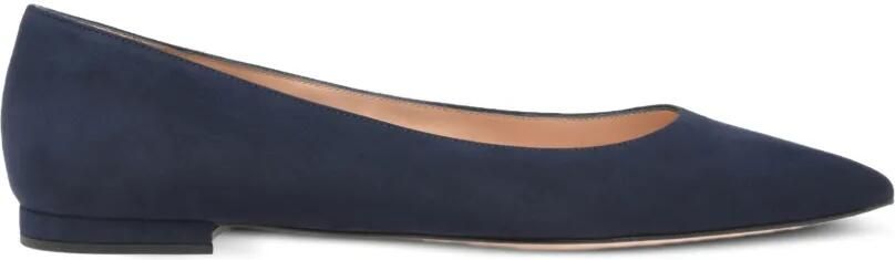 Gianvito Rossi Gianvito ballerina's met puntige neus Blauw