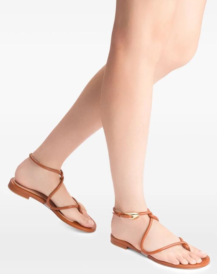 Gianvito Rossi Jungle Mamba platte sandalen Bruin