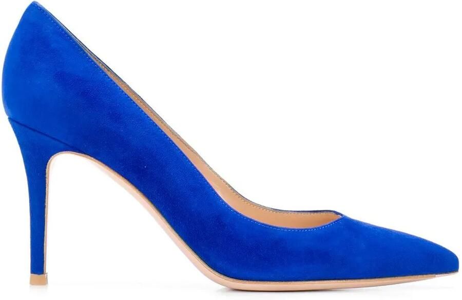 Gianvito Rossi Pumps met puntige neus Blauw