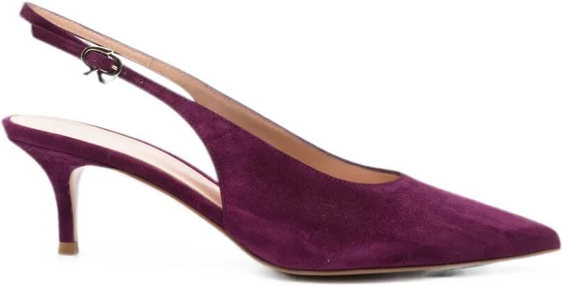 Gianvito Rossi Robbie pumps Paars